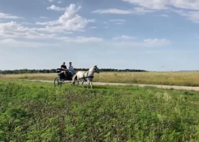 Lejlighed Vamosi Csarda